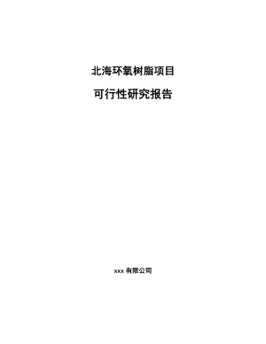 北海环氧树脂项目可行性研究报告