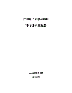 广州电子化学品项目可行性研究报告