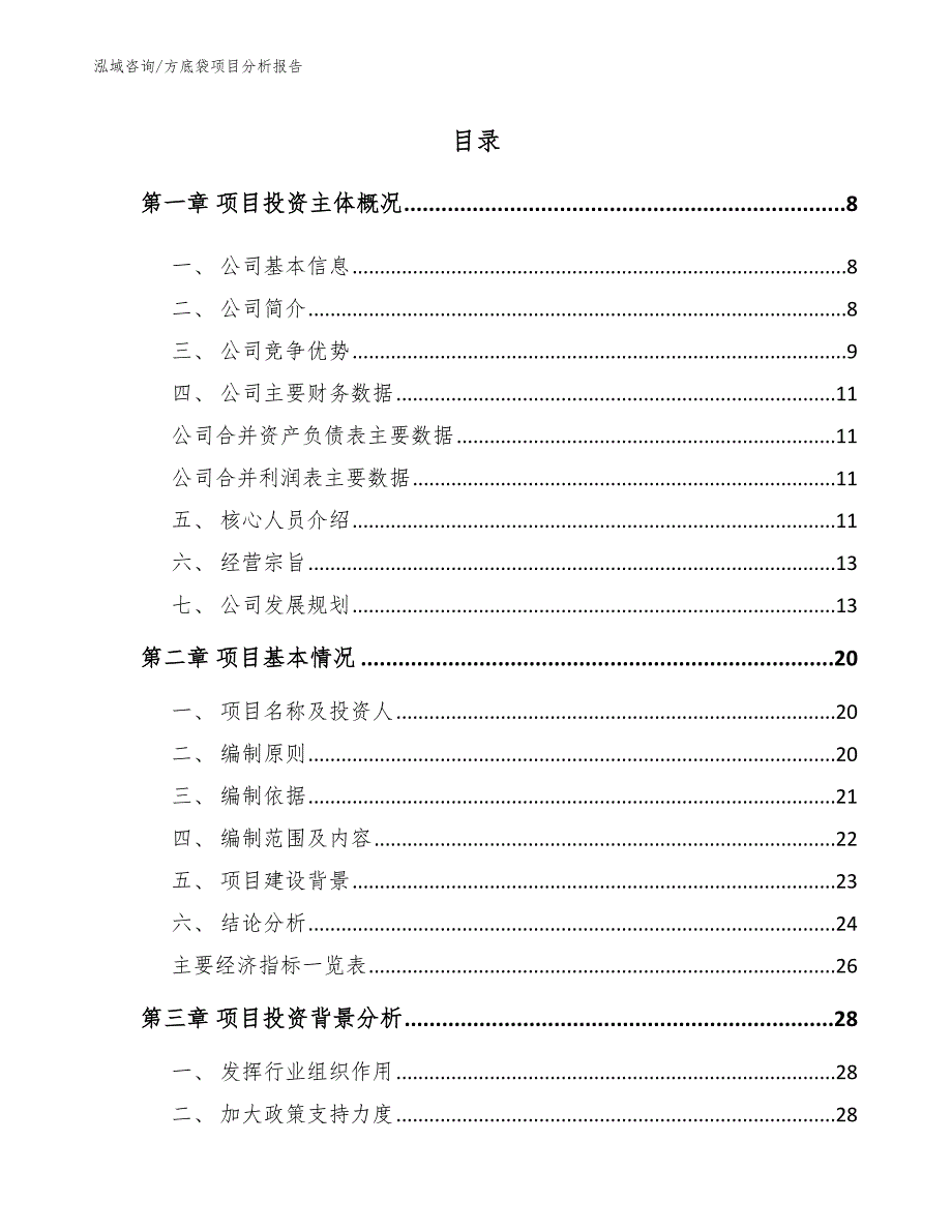 方底袋项目分析报告_第1页