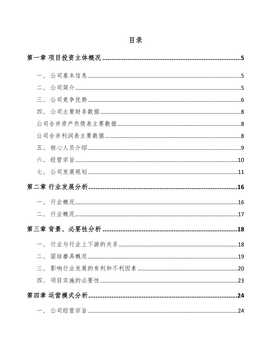 南宁抛光材料项目可行性研究报告_第1页