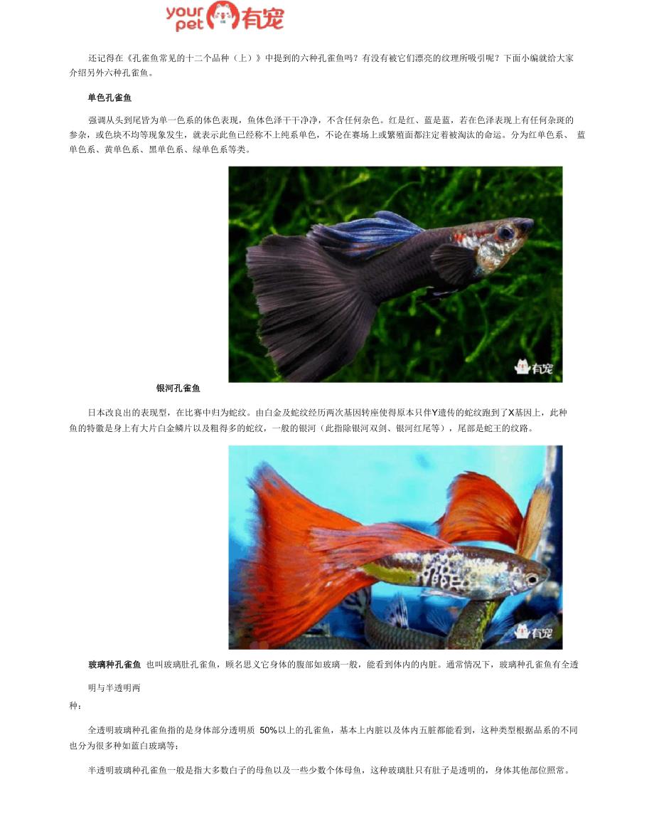 孔雀鱼常见的十二个品种_第1页