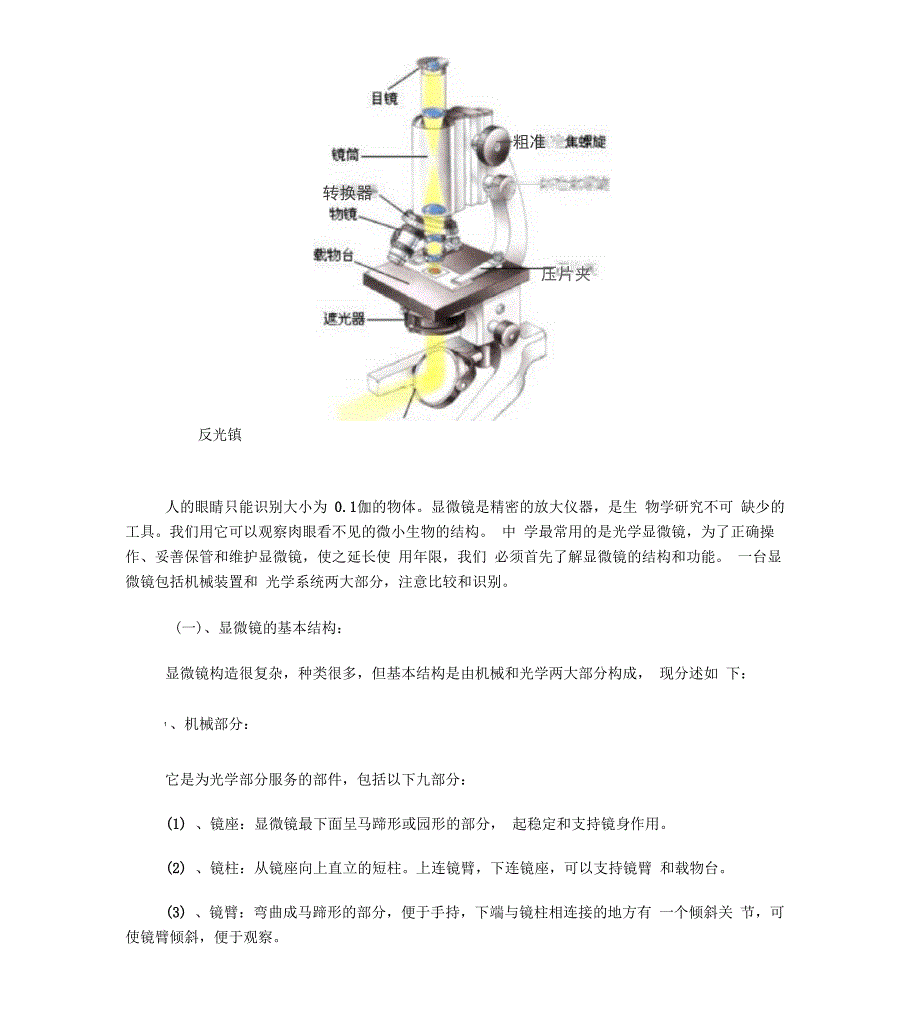 显微镜的构造原理及使用_第1页