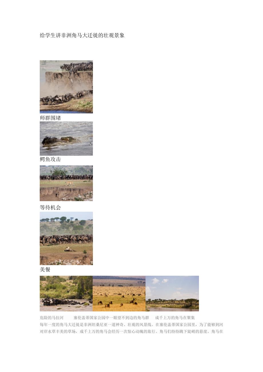 给学生讲非洲角马大迁徙的壮观景象_第1页