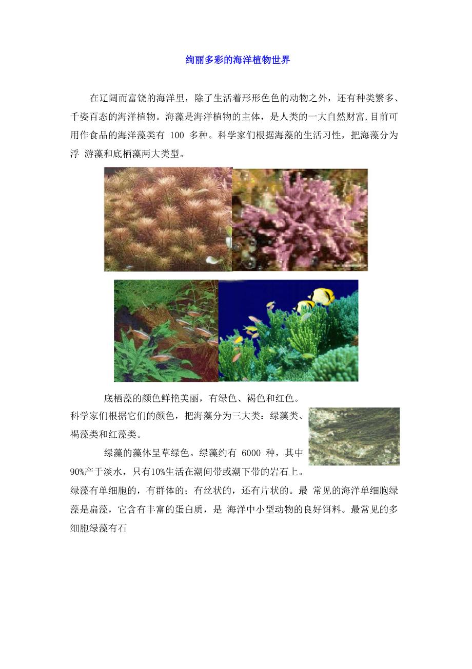 绚丽多彩的海洋植物世界_第1页