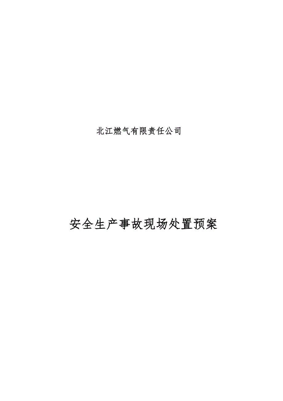 处置方案 (2)_第1页