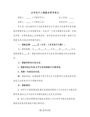 公司向个人借款合同书范文（九篇）.doc