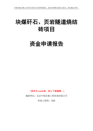 块煤矸石、页岩隧道烧结砖项目资金申请报告写作模板代写