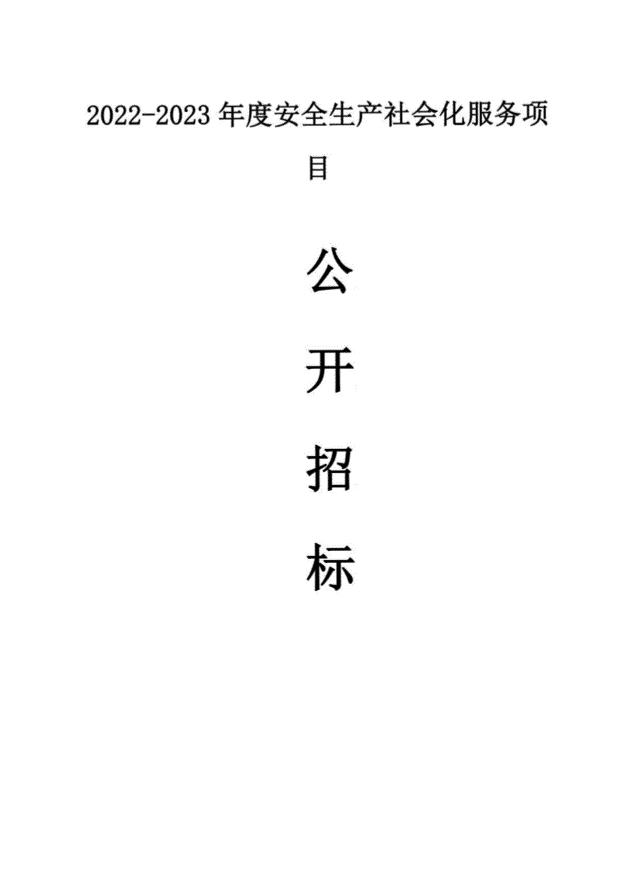 2022-2023年度安全生产社会化服务项目招标文件_第1页