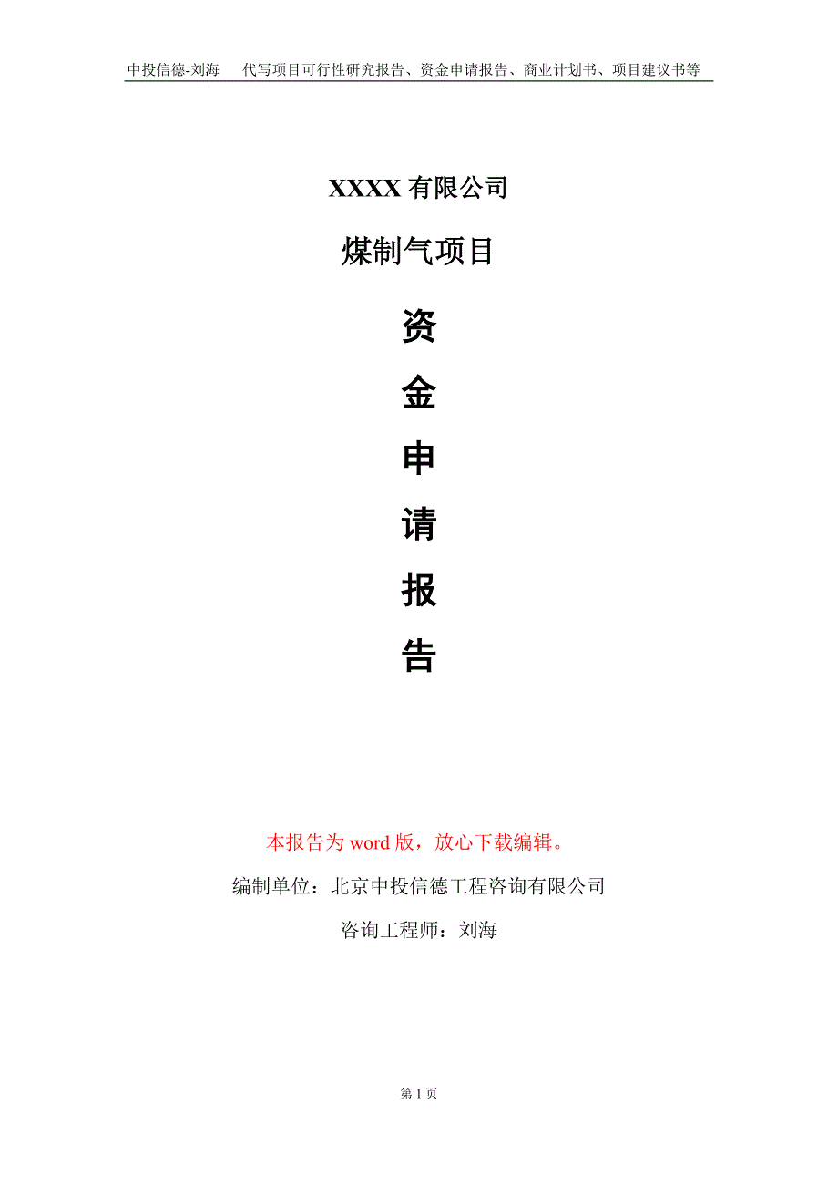 煤制气项目资金申请报告写作模板+定制代写_第1页