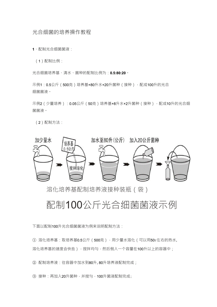 光合细菌的培养操作教程_第1页